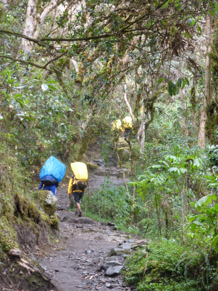 Inca Trail Porters