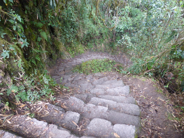 Inca Trail Steps
