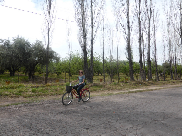 Argentina Mendoza Bikes