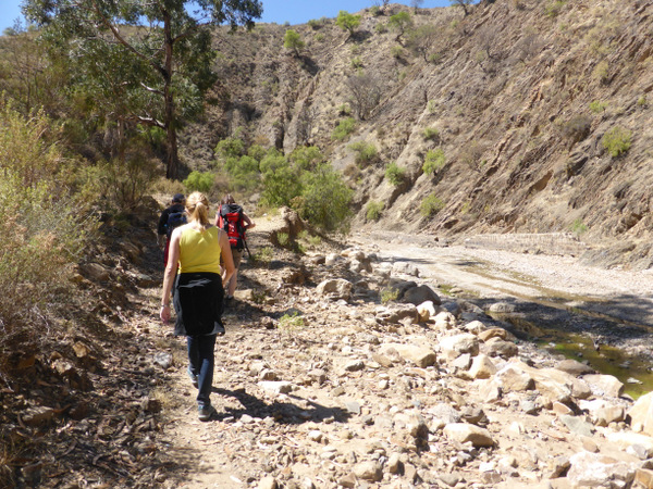 Bolivia Sucre Walk