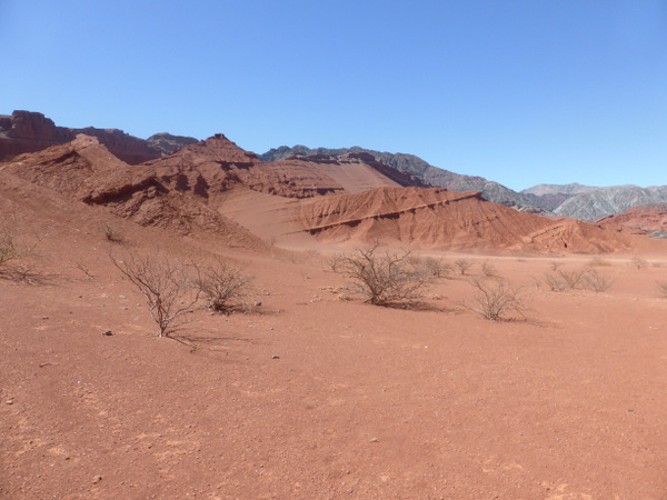 Quebrada de Cafayate Quebrada