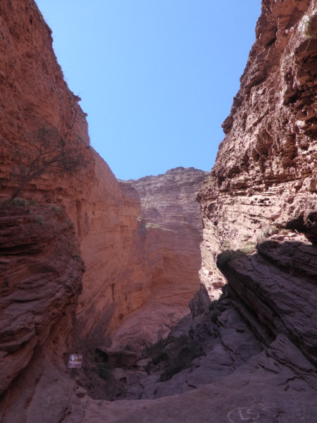 Quebrada de Cafayate Quebrada