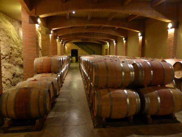 Chile Santa Cruz Vineyard